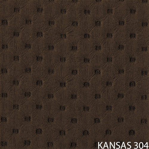 kansas 304_popis